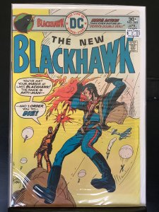 Blackhawk #245 (1976)