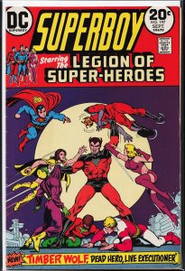 Superboy #197 (1973)