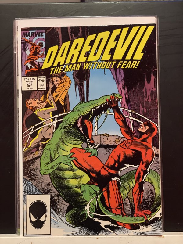 Daredevil #247 (1987)