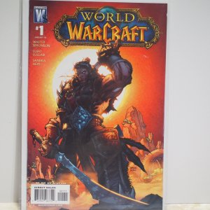World of Warcraft #1 (2008) VF/NM Unread