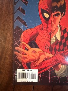 Spider-Man: With Great Power... #1 (2008)