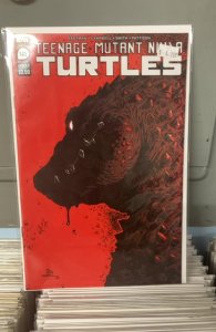 Teenage Mutant Ninja Turtles #141 Cover B (2023)