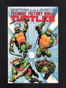 Teenage Mutant Ninja Turtles #25 (1989)