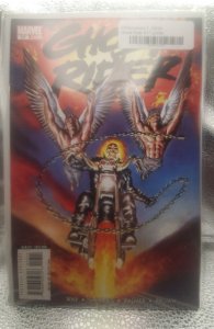 Ghost Rider #17 (2008)