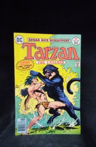 Edgar Rice Burroughs' Tarzan #253 (1976)