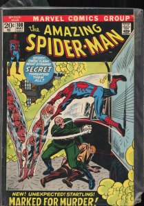 The Amazing Spider-Man #108 (1972) Spider-Man