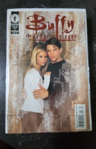 Buffy the vampire slayer #31