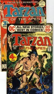 TARZAN LOT (1972-1975)