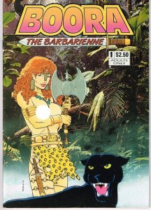 Boora/Syfox (1992) flipbook
