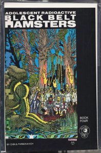 Adolescent Radioactive Black Belt Hamsters #4 (1986) Adolescent Radioactive B...