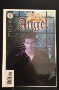 Buffy the vampire slayer angel