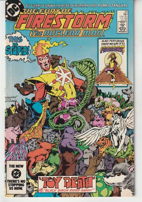 Fury of Firestorm(vol. 1) # 25   Legacy of Super Chief !