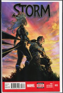 Storm #3 (2014) Storm