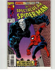 The Spectacular Spider-Man #204 (1993) Spider-Man