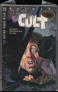 Batman: The Cult #3 (1988) Batman