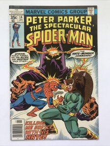 Spectacular Spider-Man 14