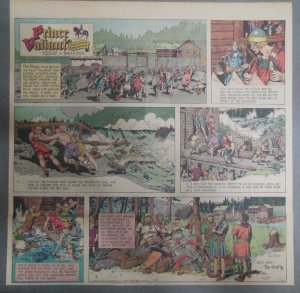 Prince Valiant Sunday #1447 by Hal Foster from 11/1/1964 2/3 Full Page Size !