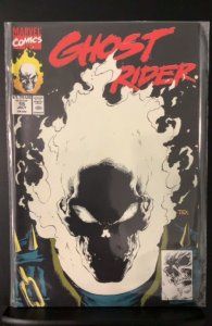 Ghost Rider #15 (1991)