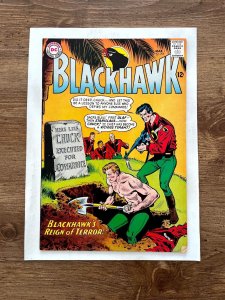 Blackhawk # 206 VF/NM DC Silver Age Comic Book War Army Navy Lady 13 J859