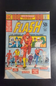 The Flash #214 (1972)