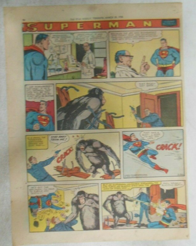 Superman Sunday Page #961 by Wayne Boring from 3/30/1958 Size ~11 x 15 inches