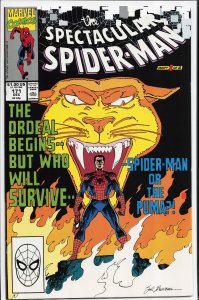 The Spectacular Spider-Man #171 (1990) Spider-Man