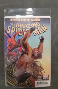 The Amazing Spider-Man #18.HU (2019)