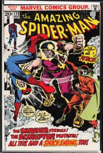The Amazing Spider-Man #118 (1973) Spider-Man