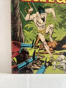 Tarzan #244 DC