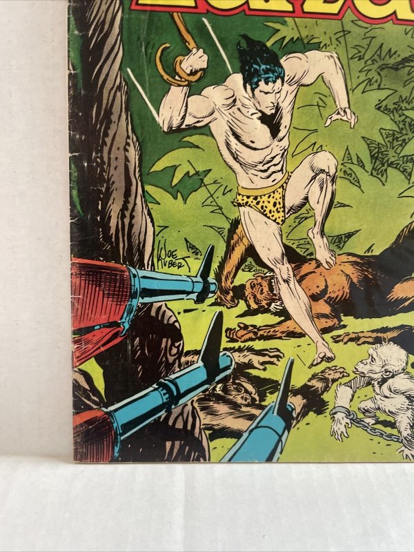 Tarzan #244 DC