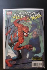 The Amazing Spider-Man #506 (2004)