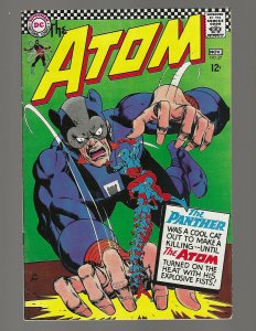 Atom #27 The Panther