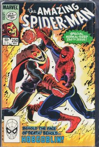 The Amazing Spider-Man #250 Direct Edition (1984) Spider-Man