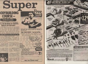 Thor(vol. 1)# 262  The Death of Odin ?