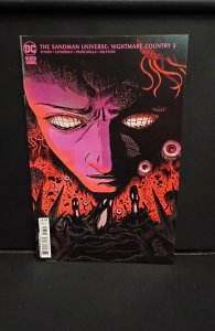 The Sandman Universe: Nightmare Country #3 Francavilla Cover (2022)