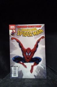 The Amazing Spider-Man #552 (2008)