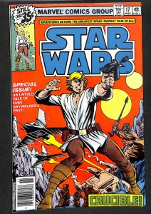 Star Wars #17 (1978)