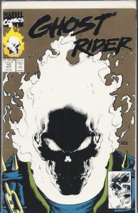 Ghost Rider #15 Second Print Cover (1991) Ghost Rider