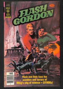 Flash Gordon #20 (1978)