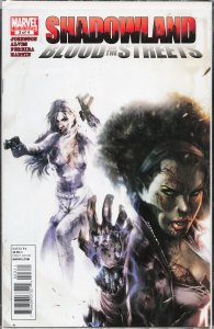 Shadowland: Blood on the Streets #3 (2010) Shroud