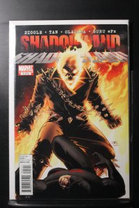 Shadowland #5 Standard Cover (2011)