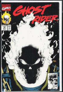 Ghost Rider #15 (1991) Ghost Rider