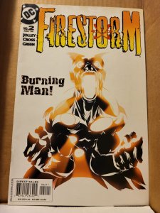 Firestorm #2 (2004)