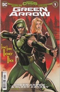 Dark Crisis Worlds Without a Justice League Green Arrow #1 Regular Cover (2022)
