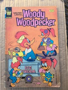 Walter Lantz Woody Woodpecker #196