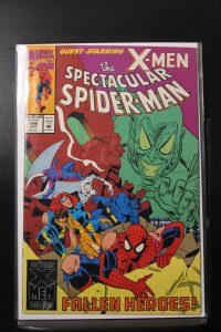 The Spectacular Spider-Man #199 Direct Edition (1993)