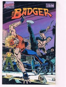 Lot Of 4 The Badger First Comics Comic Books # 9 18 20 21 1st Print Deluxe HJ2