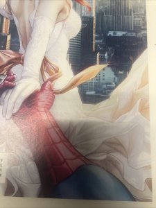 AMAZING SPIDER-MAN (2017) Variant # 1 Stan Lee • Steve Ditko • Marvel Comics