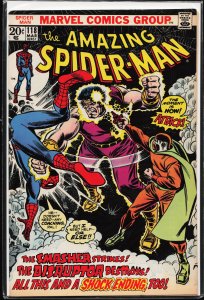 The Amazing Spider-Man #118 (1973)