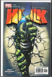 Incredible Hulk #60 (2003) Hulk
